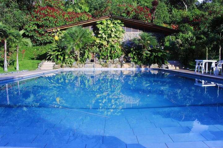 Pool 6 of 15