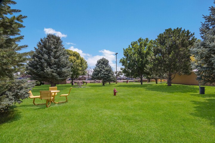 BBQ/picnic area