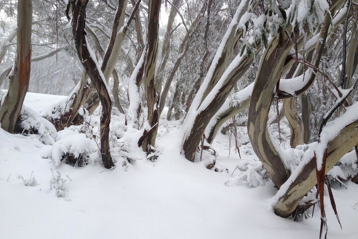 Outdoor Activities 27 of 30