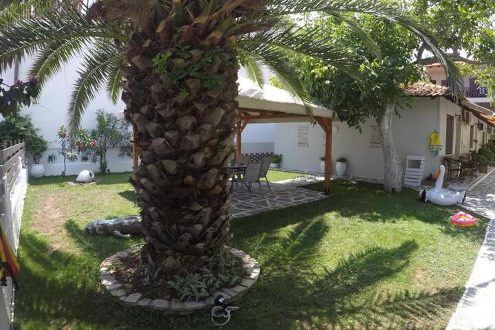 Photo 8