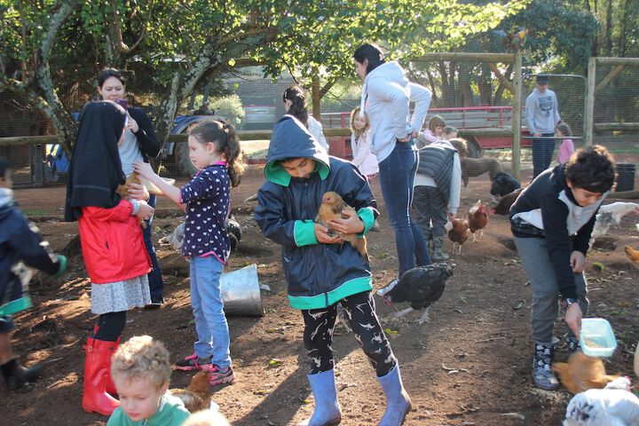 Childrens Activities 44 of 71