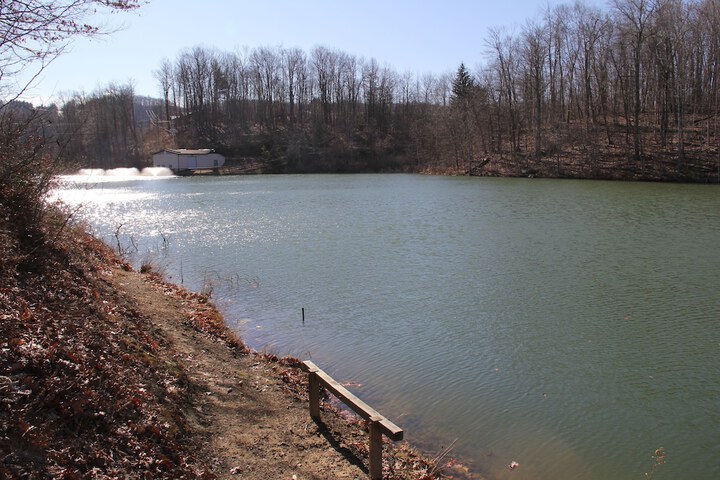 Property Grounds 84 of 100