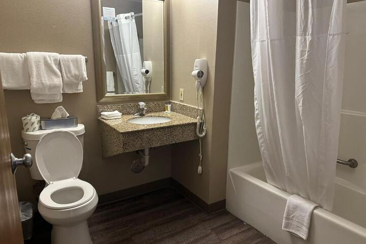 1 King Bed Mobility Accessible Roll in Shower (9 of 10)