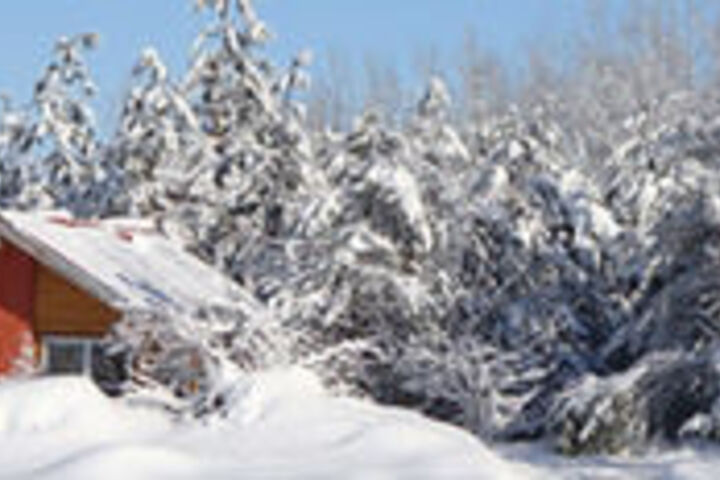 Property Grounds 16 of 22