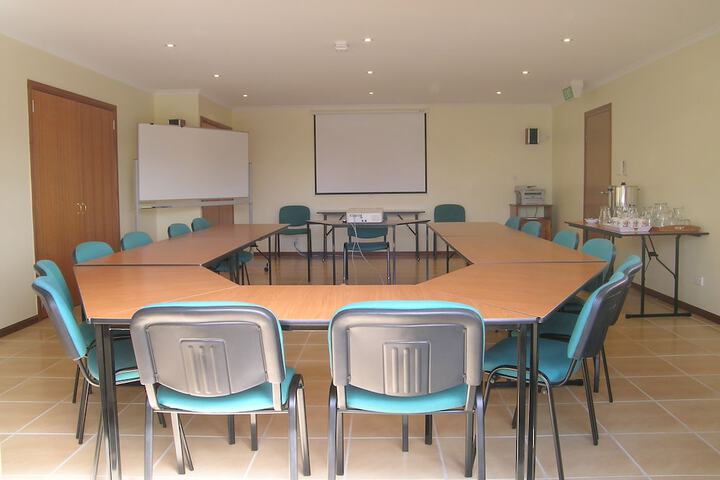 Meeting 29 of 39
