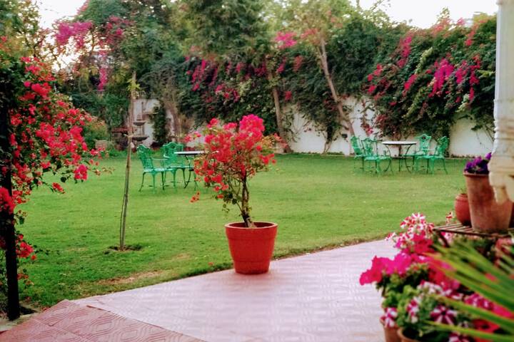 Amenities Pic