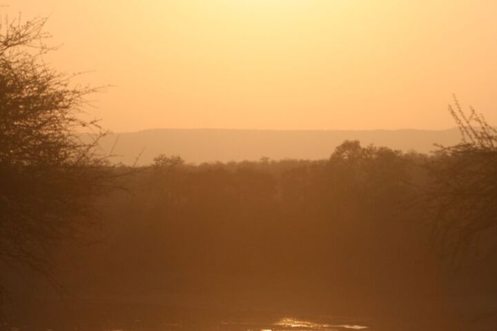 Safari