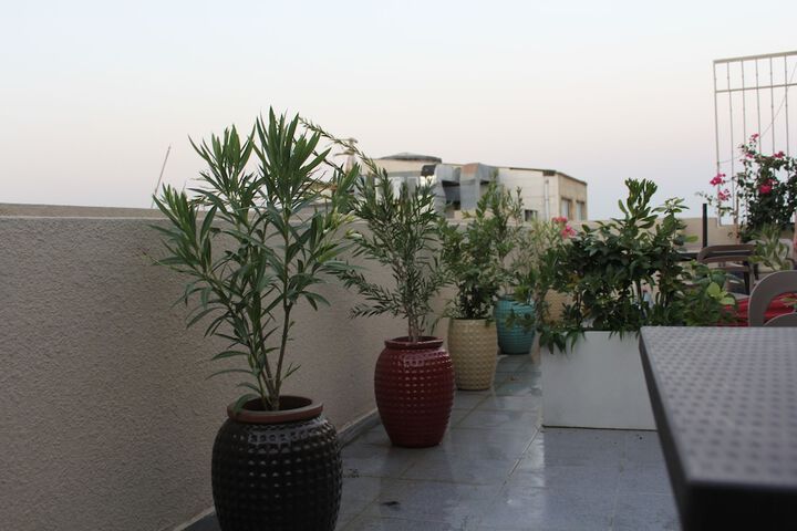 Terrace/Patio 28 of 44