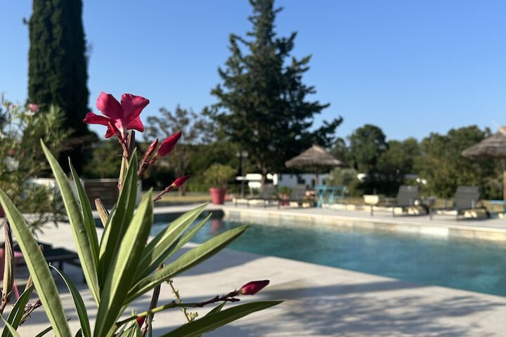 Hotel Pool