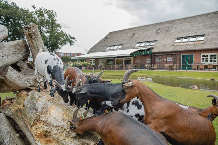 BUITEN GEWOON - GEWOON BUITEN