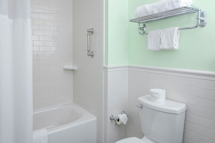 Traditional Single Room 1 King Bed (7 of 10)