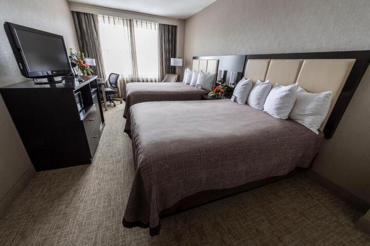 Standard King Bed City View (12 of 12)