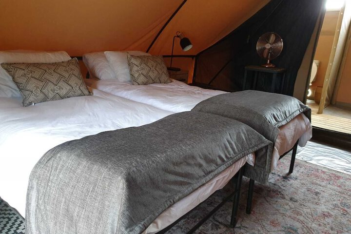 Room 3 of 40