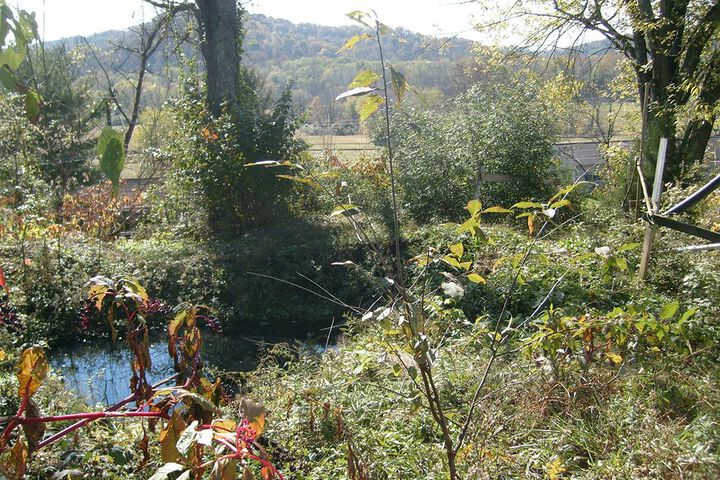 Property Grounds 29 of 37