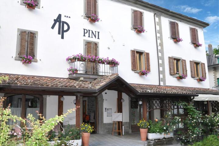 Hotel Pini