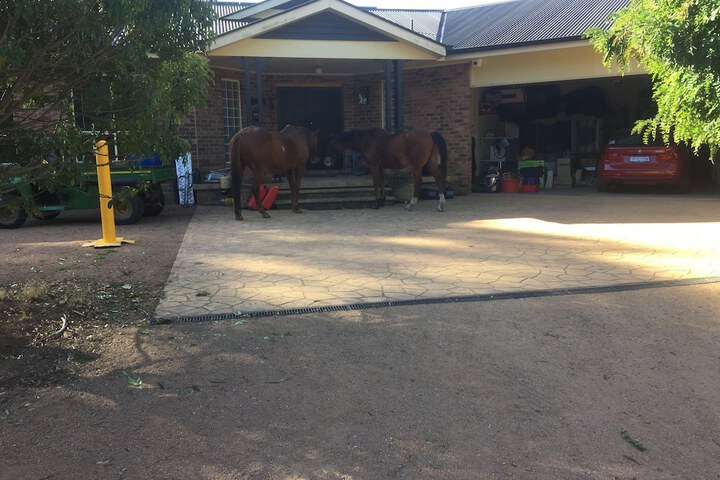 Property Grounds 40 of 58