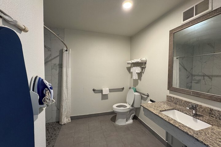 1 Queen Bed Accessible (9 of 11)