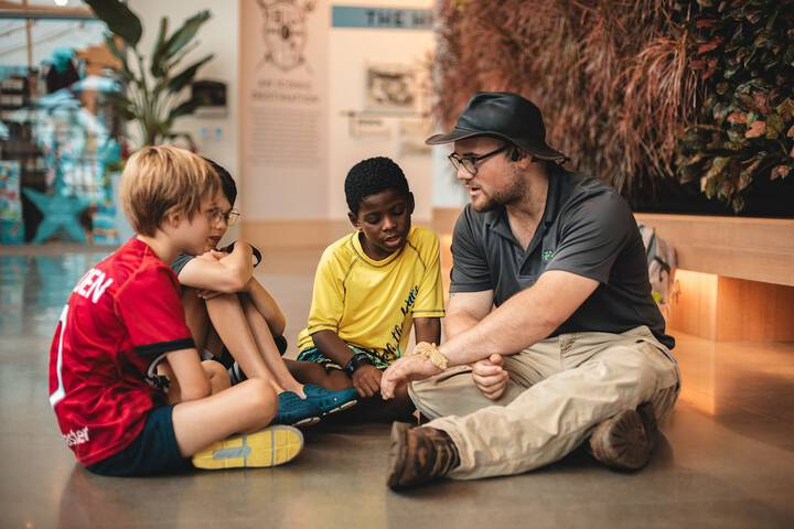 Children's activities