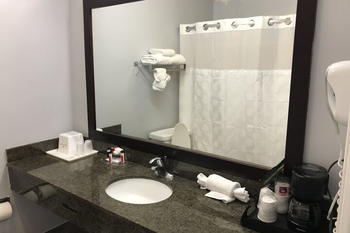 Bathroom sink