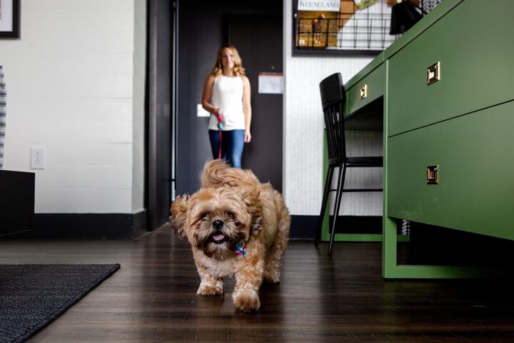 Pet-friendly