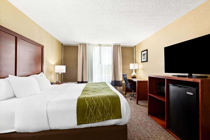 1 King Bed (8 of 9)