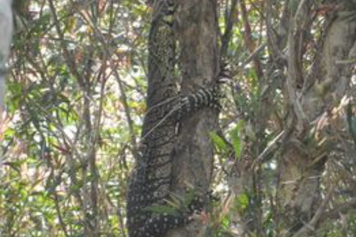 Property Grounds 47 of 63