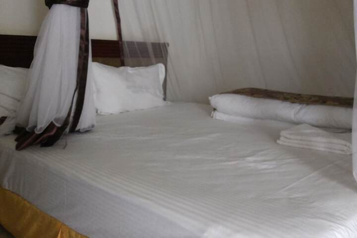 Room 3 of 42