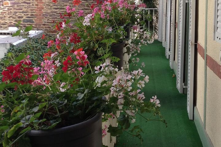 Terrace/Patio 60 of 75