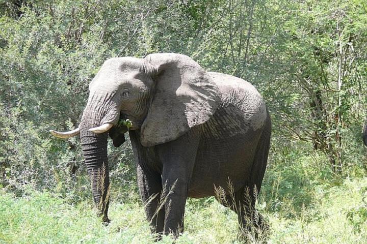Fitness Center Photo