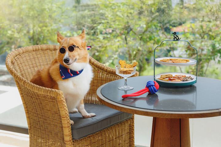 Pet Friendly 46 of 70