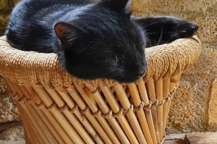 General 29 of 94