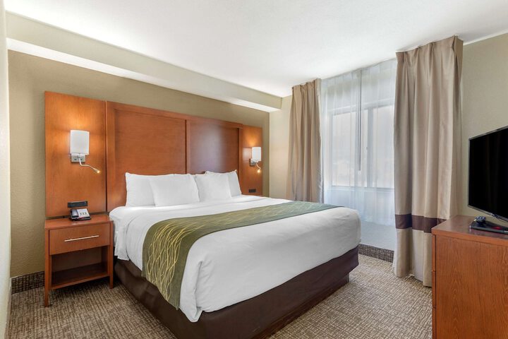 1 King Bed (3 of 19)