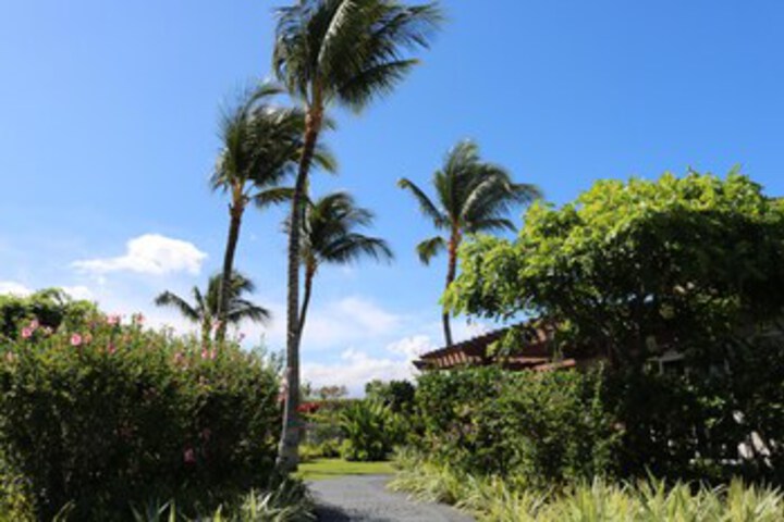 Property Grounds 18 of 21