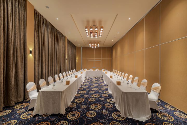 Meeting 113 of 159