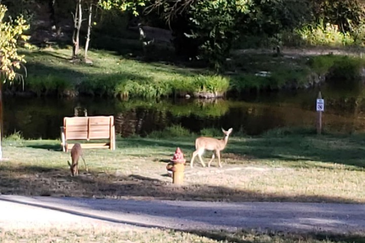 Hotel Exterior 116 of 147