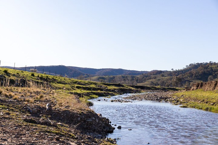 Property Grounds 32 of 41