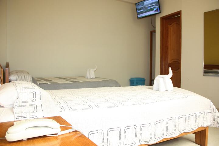 Room 9 of 29