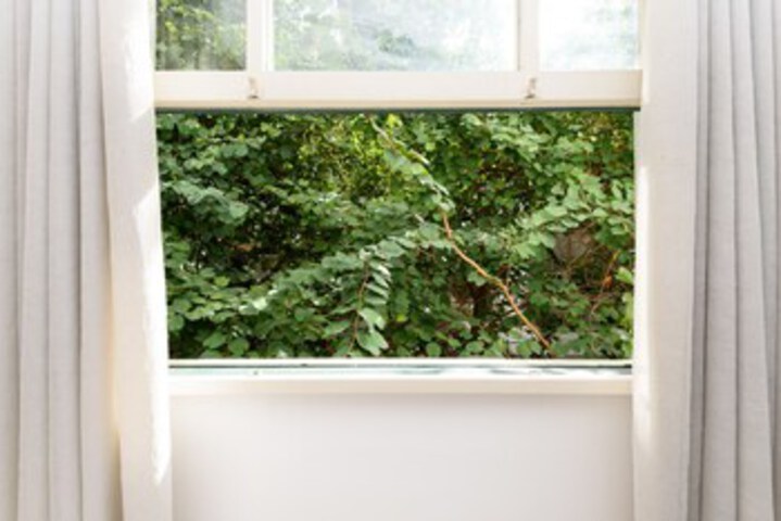 Room 20 of 32