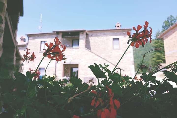 Hotel 8 of 16