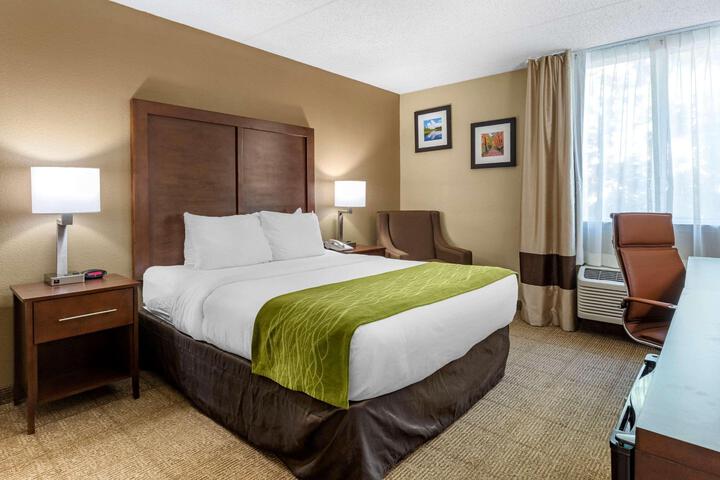 1 King Bed (3 of 10)