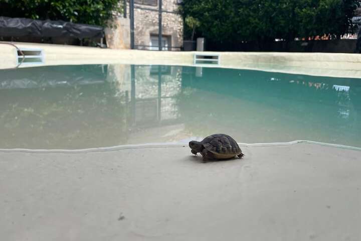 Pool 69 of 104