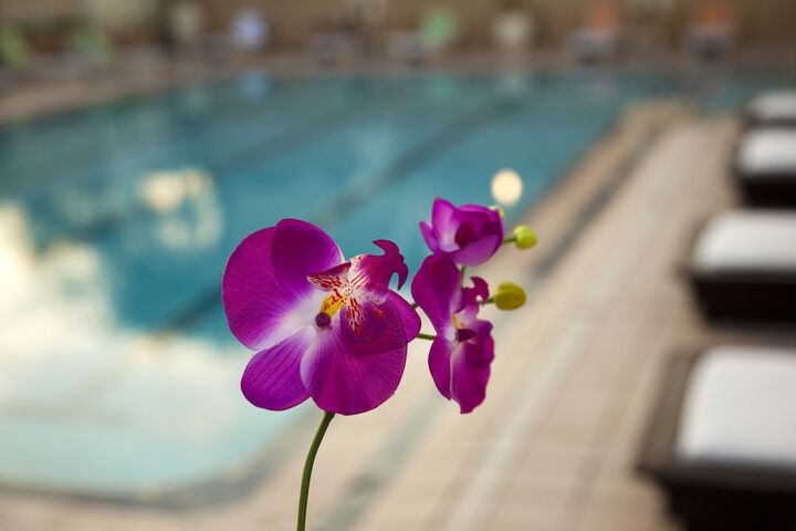 Pool 21 of 36