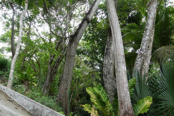 Photo 26