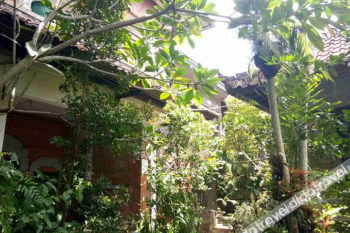 Dani Home Stay