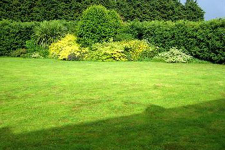 Property Grounds 8 of 20