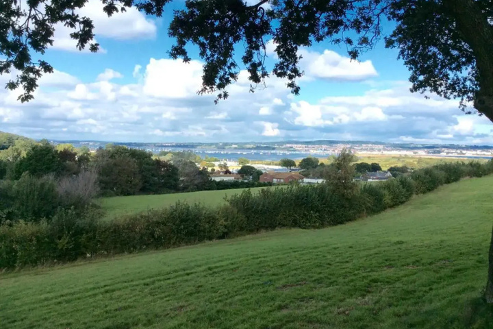 Warren View