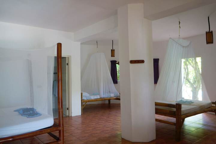 Room 3 of 79