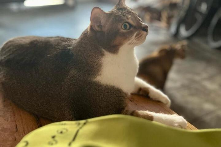 Fitness Facility Photos