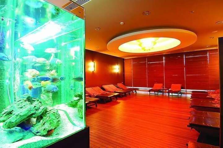Wellness Treatments