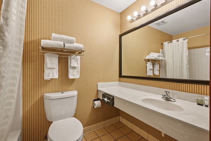 Suite Queen Bed Kitchen (21 of 22)